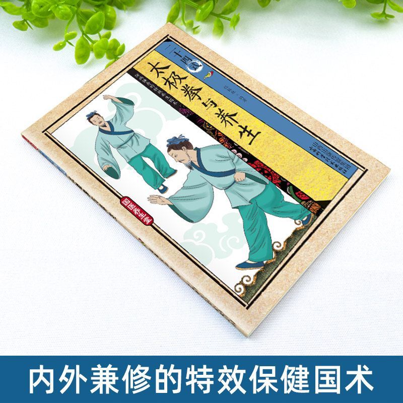 24 Style Tai Chi and Health Ex - Health & Wellness Lions review and price