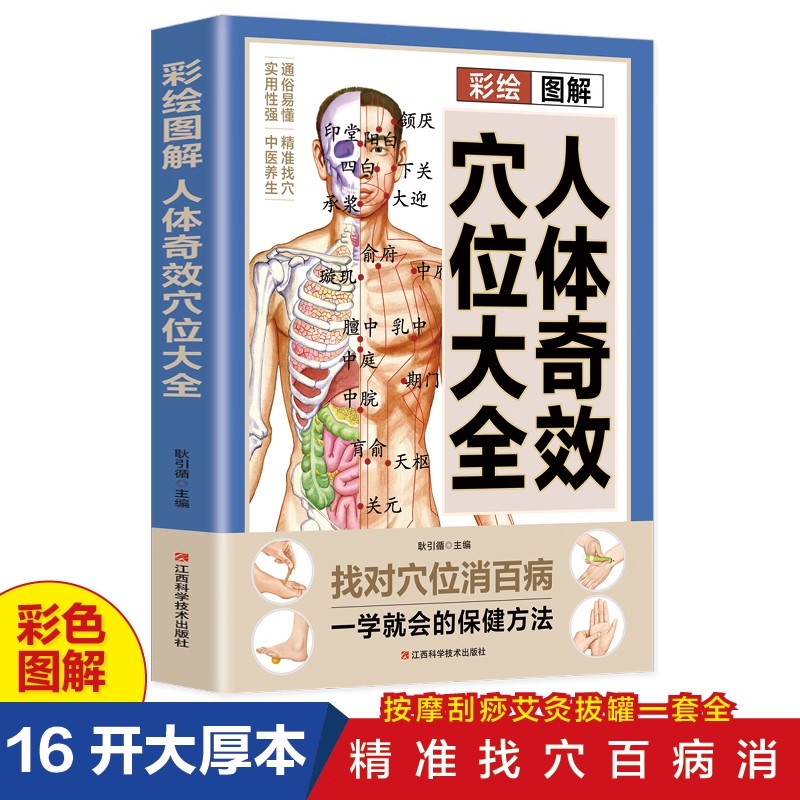 Complete Guide to Acupoint Mas - Health & Wellness Lions review and price