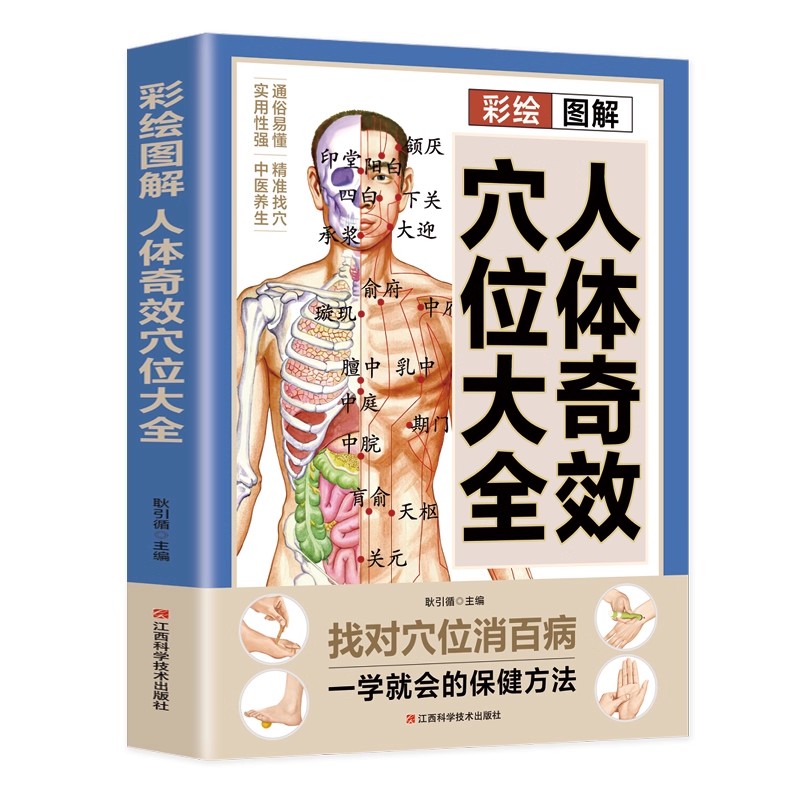 Complete Guide to Acupoint Mas - Health & Wellness Lions review and price