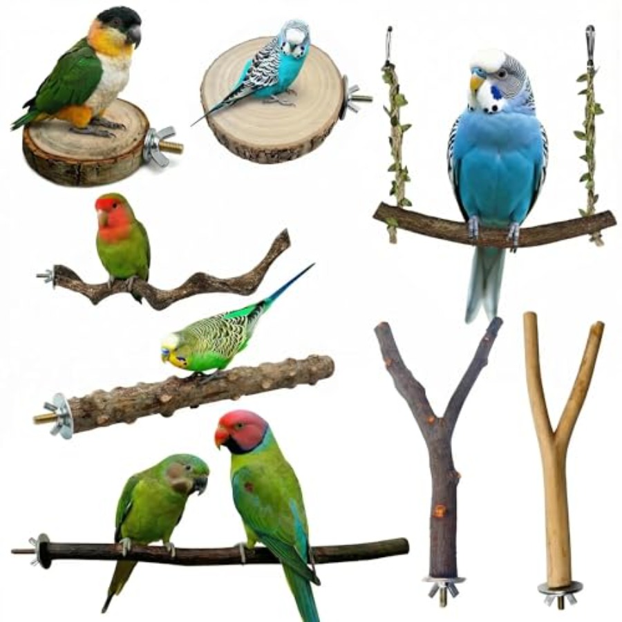 8PCS natural wood bird perches - Health & Wellness Lions review and price