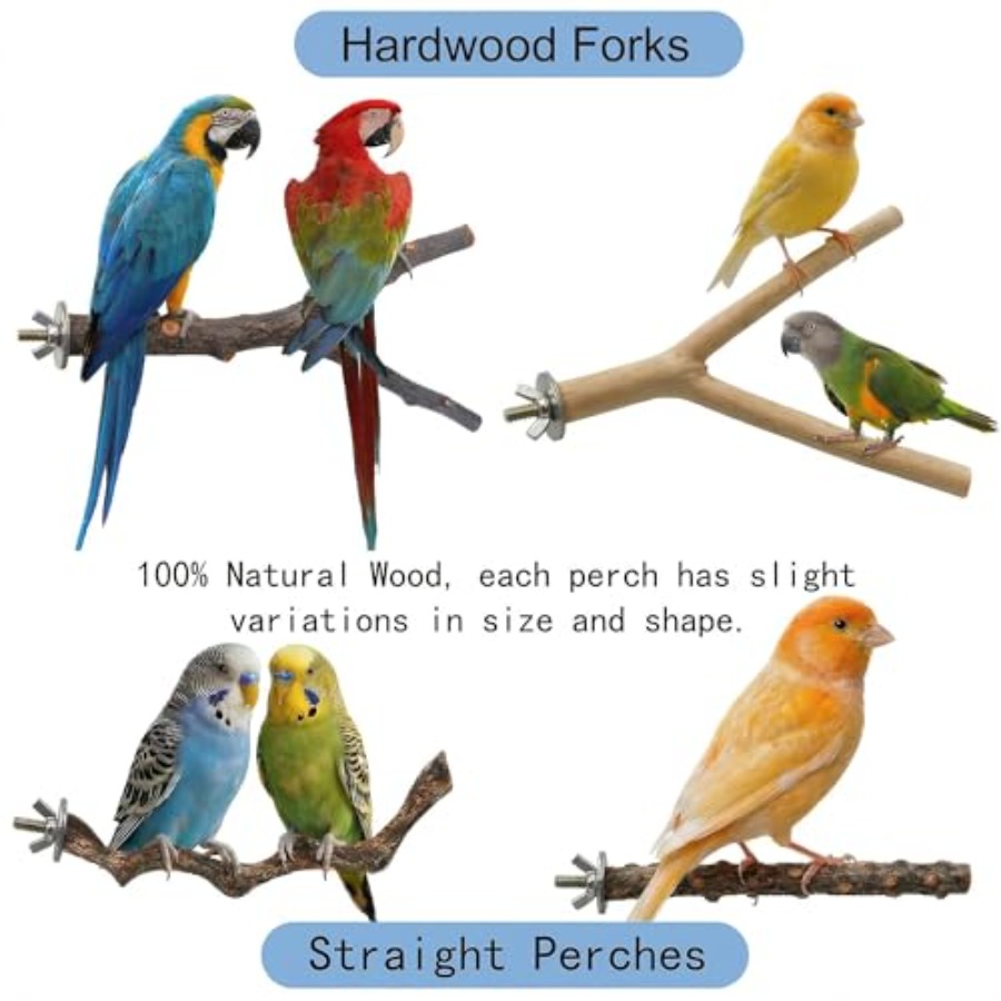 8PCS natural wood bird perches - Health & Wellness Lions review and price