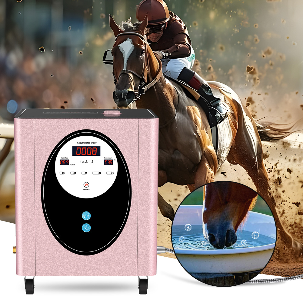 SUYZEKO Whole House Hydrogen W - Health Wellness And Spa review and price